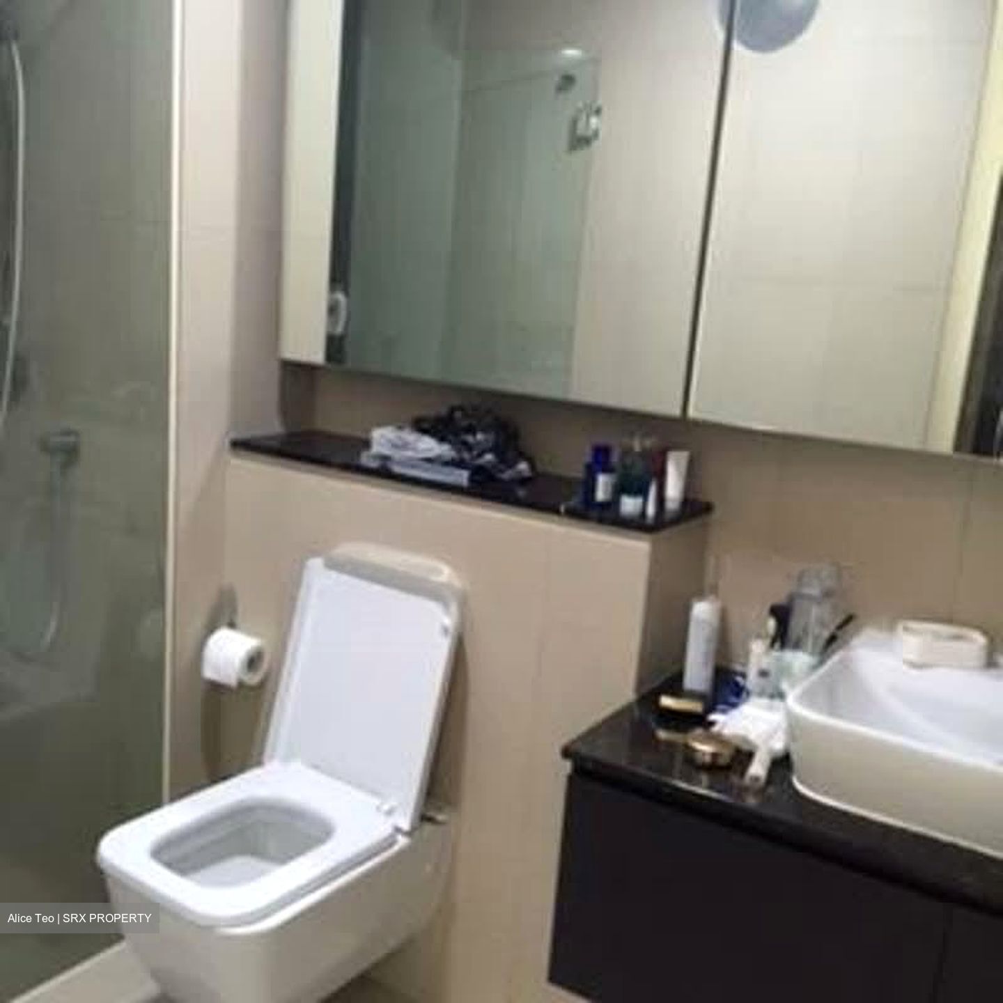 Spottiswoode Residences (D2), Condominium #540883161